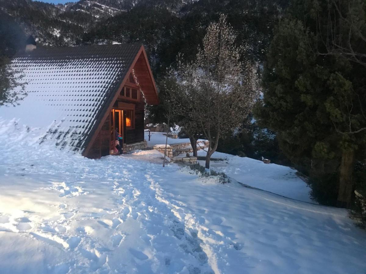 Chalet In The Forest Kalavryta Exteriér fotografie