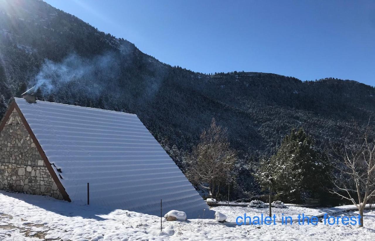 Chalet In The Forest Kalavryta Exteriér fotografie