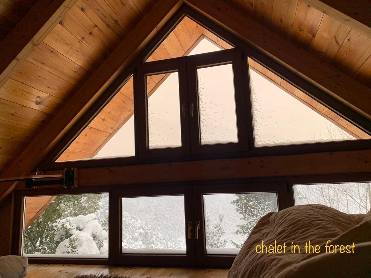 Chalet In The Forest Kalavryta Exteriér fotografie