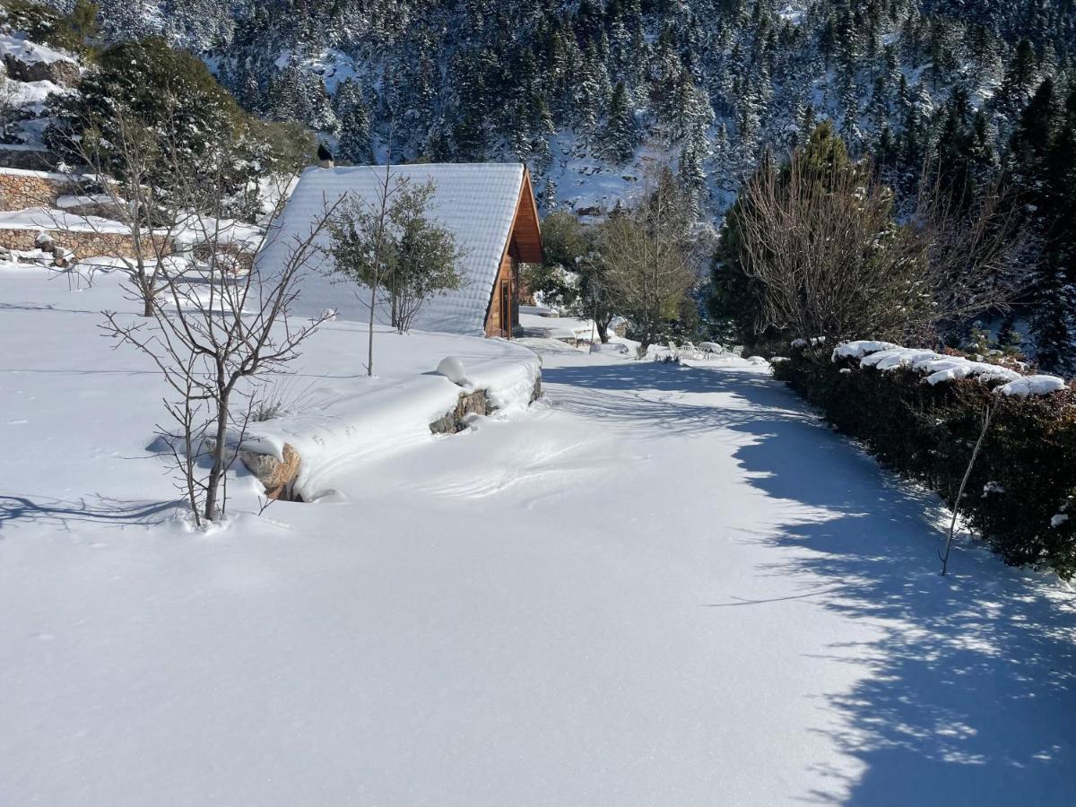 Chalet In The Forest Kalavryta Exteriér fotografie