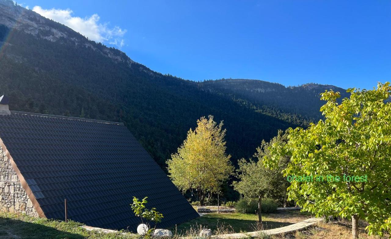 Chalet In The Forest Kalavryta Exteriér fotografie