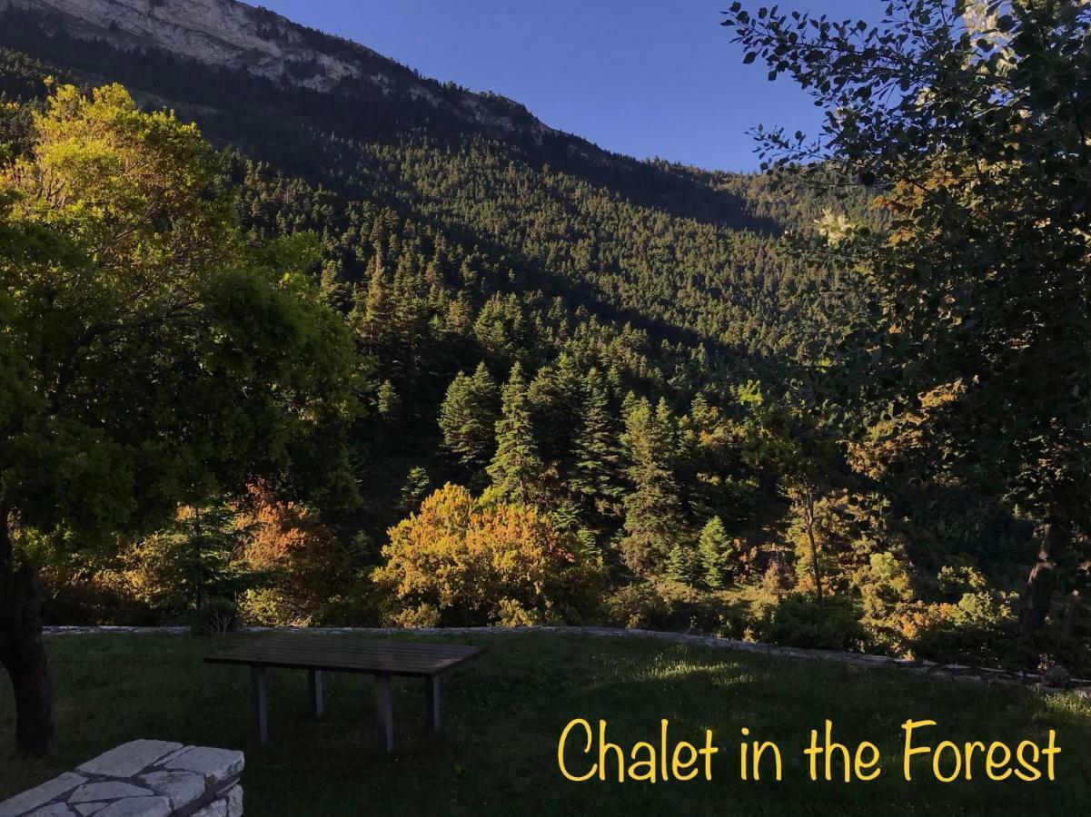 Chalet In The Forest Kalavryta Exteriér fotografie