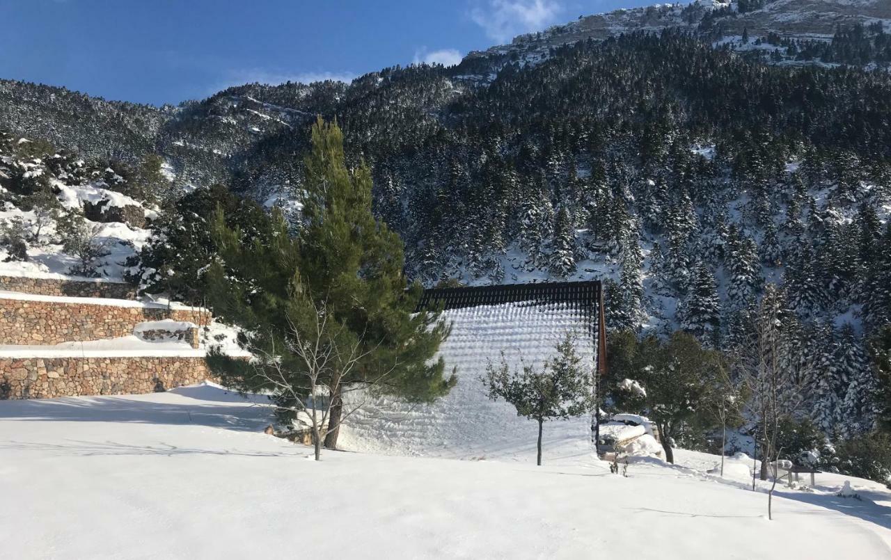 Chalet In The Forest Kalavryta Exteriér fotografie