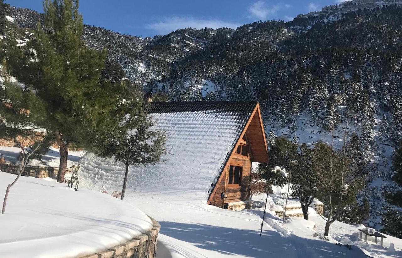 Chalet In The Forest Kalavryta Exteriér fotografie