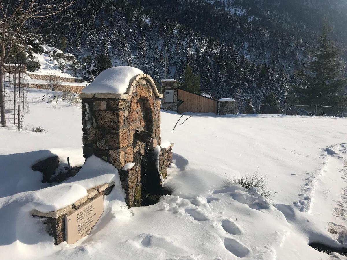 Chalet In The Forest Kalavryta Exteriér fotografie