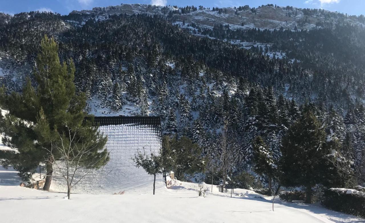 Chalet In The Forest Kalavryta Exteriér fotografie